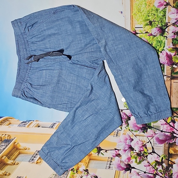 J. Crew Pants - J. Crew Point Sur Seaside Pants Size 2